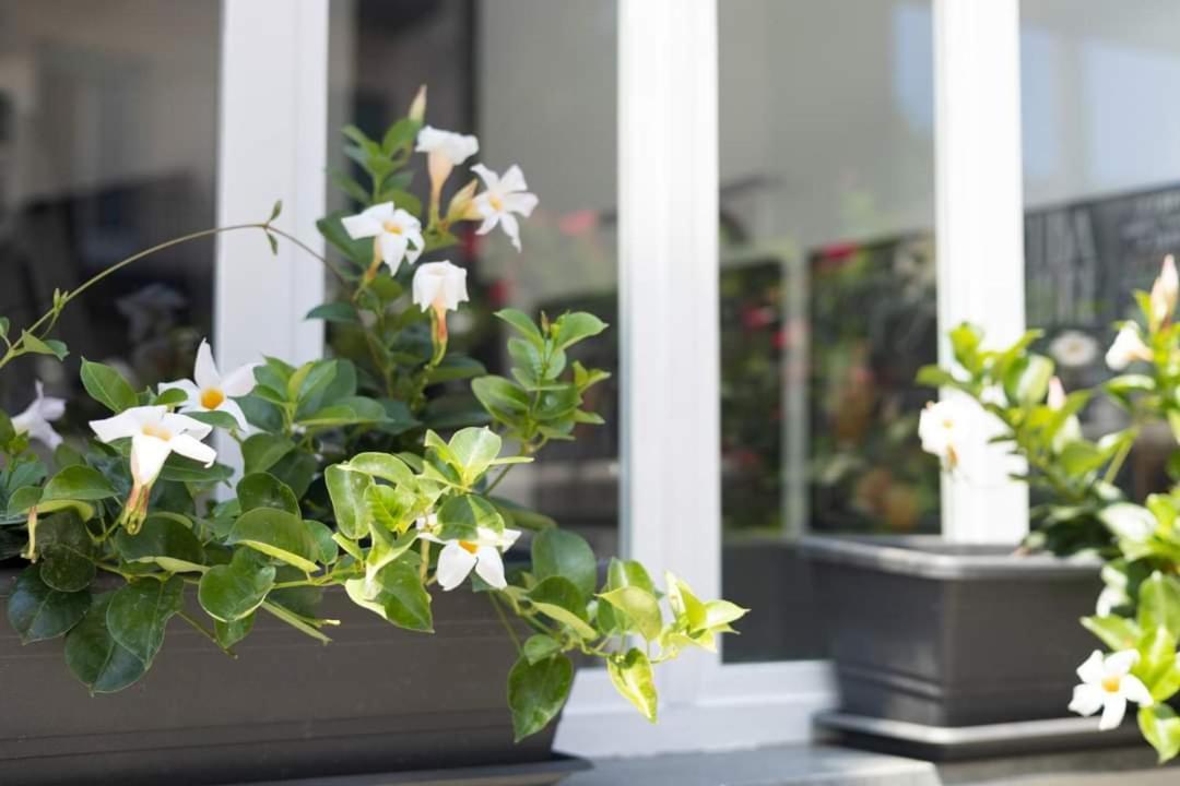 Holiday home A Due Passi Dal Duomo Acireale